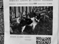 Ảnh bìa bài viết 300596