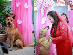 Ảnh bìa bài viết 300860