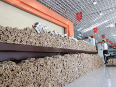 Ảnh bìa bài viết 300901