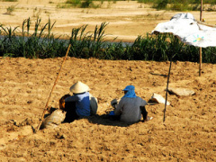 Ảnh bìa bài viết 300877