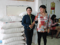 Ảnh bìa bài viết 300939