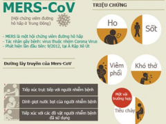 Ảnh bìa bài viết 300955