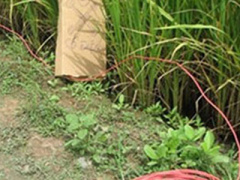 Ảnh bìa bài viết 301624