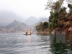 Ảnh bìa bài viết 301521