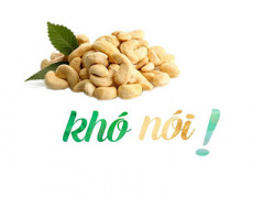 Ảnh bìa bài viết 301834