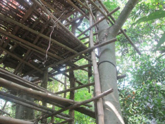 Ảnh bìa bài viết 301935