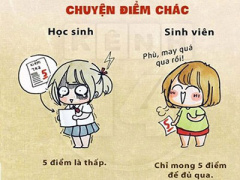 Ảnh bìa bài viết 302082