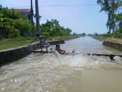Ảnh bìa bài viết 302208