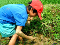 Ảnh bìa bài viết 302384