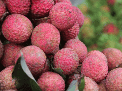 Ảnh bìa bài viết 302608