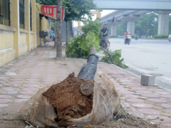 Ảnh bìa bài viết 302593