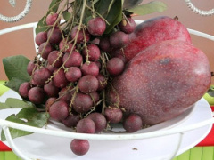 Ảnh bìa bài viết 302535