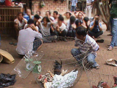 Ảnh bìa bài viết 302695
