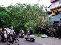 Ảnh bìa bài viết 302794