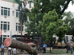 Ảnh bìa bài viết 302634