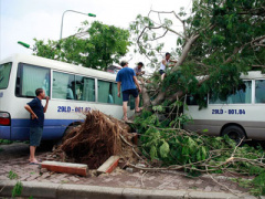Ảnh bìa bài viết 302804
