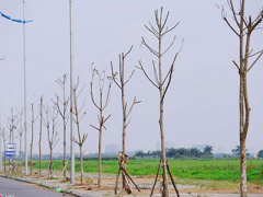 Ảnh bìa bài viết 302915