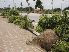 Ảnh bìa bài viết 302898