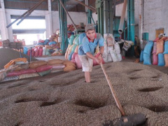 Ảnh bìa bài viết 303066