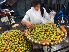 Ảnh bìa bài viết 302981