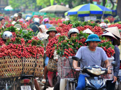 Ảnh bìa bài viết 303170