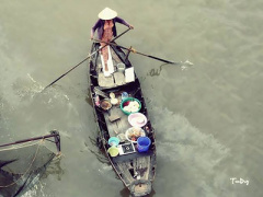 Ảnh bìa bài viết 303213