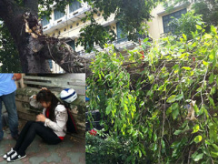 Ảnh bìa bài viết 303304