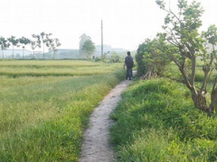 Ảnh bìa bài viết 303357