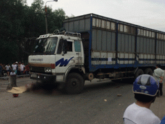 Ảnh bìa bài viết 303491