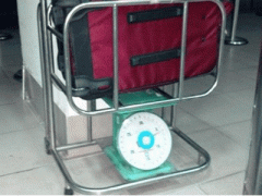 Ảnh bìa bài viết 303579
