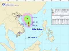 Ảnh bìa bài viết 303610