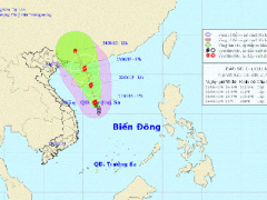Ảnh bìa bài viết 303672