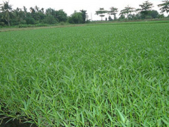 Ảnh bìa bài viết 303817