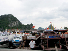 Ảnh bìa bài viết 304054