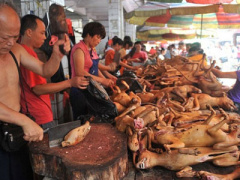 Ảnh bìa bài viết 304023