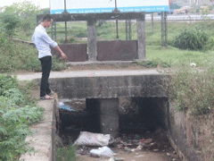 Ảnh bìa bài viết 304072