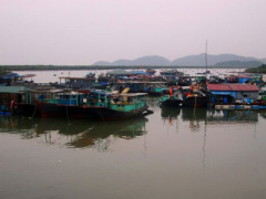 Ảnh bìa bài viết 304061