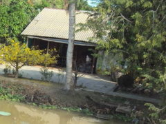 Ảnh bìa bài viết 304562