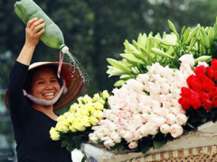 Ảnh bìa bài viết 304555