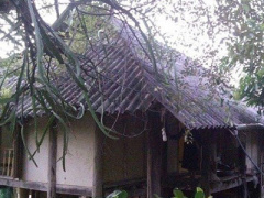 Ảnh bìa bài viết 304701