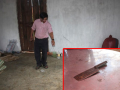 Ảnh bìa bài viết 304806