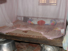 Ảnh bìa bài viết 304831