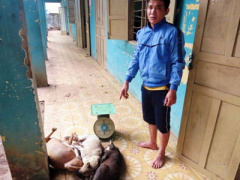 Ảnh bìa bài viết 305189
