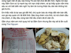 Ảnh bìa bài viết 305233