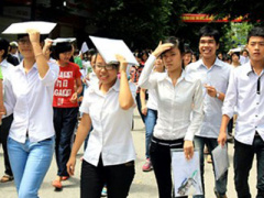Ảnh bìa bài viết 305229