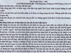 Ảnh bìa bài viết 305512