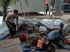 Ảnh bìa bài viết 305783