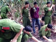 Ảnh bìa bài viết 305712