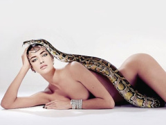 Ảnh bìa bài viết 305879