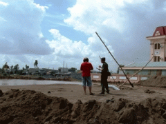 Ảnh bìa bài viết 305903